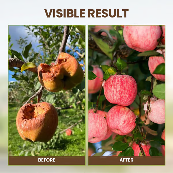 Limited Sale - BUY 2 GET 1 FREE Soil Improvement Loosening Agent